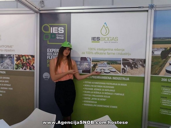 ies-biogas