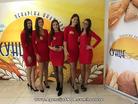 qvattro-company-sunce-marketi
